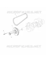 MOTORE, DRIVE PULEGGIA AND DRIVE BELT