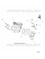 ENGINE, CORPO FARFALLATO AND FUEL RAIL