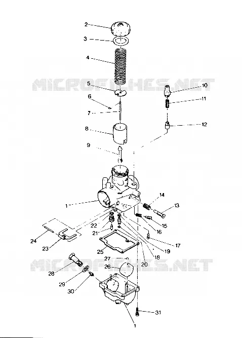 CARBURATORE INDY LITE (4919311931038A)