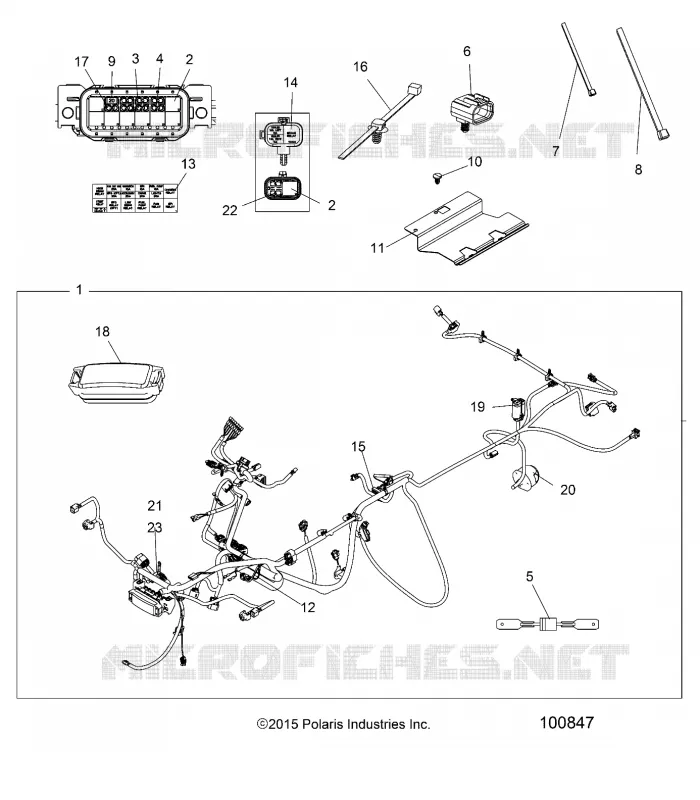 ELETTRICO, HARNESS