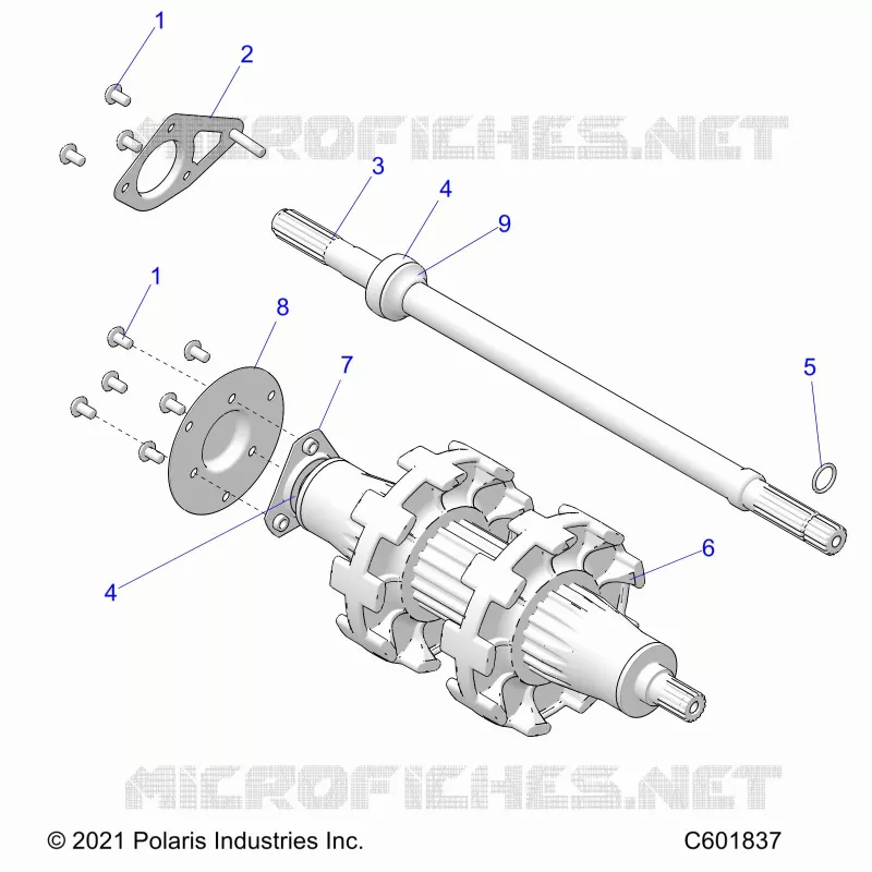 DRIVE TRAIN, JACKSHAFT AND ALBERO DI TRASMISSIONE