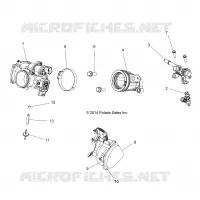 CORPO FARFALLATO AND FUEL RAIL