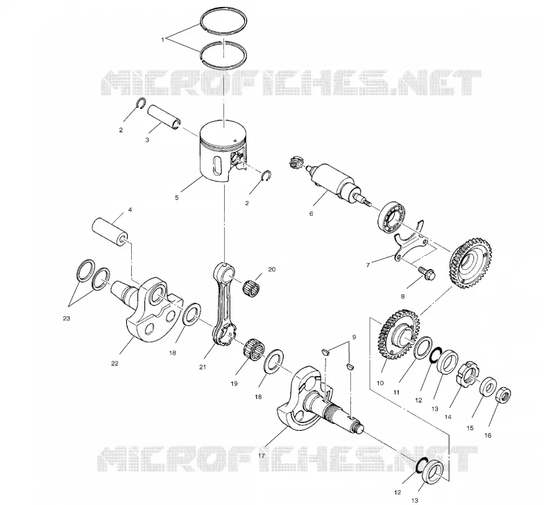 PISTONEEE   ALBERO MOTORE (SPORT)
