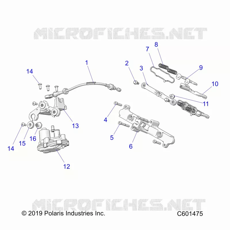 ENGINE, VALVOLA SCARICO ASM. AND ACTUATOR