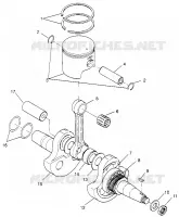 ALBERO MOTORE AND PISTONEE XPLORER 300 W969130 (4935903590C012)
