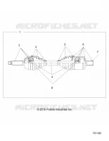 DRIVE TRAIN, ANTERIORE ALBERO