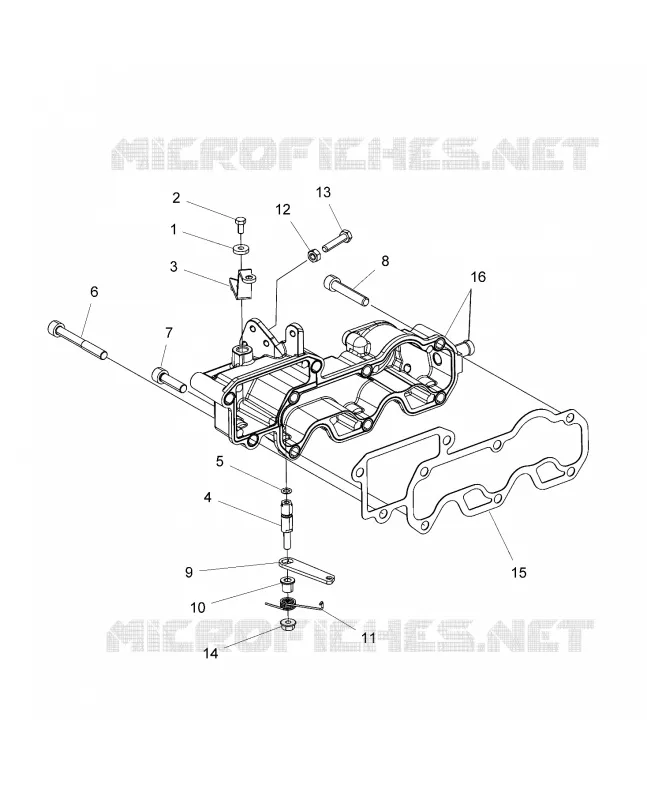 MOTORE, INLET MANIFOLD AND THROTTLE CONTROL