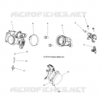 CORPO FARFALLATO AND FUEL RAIL
