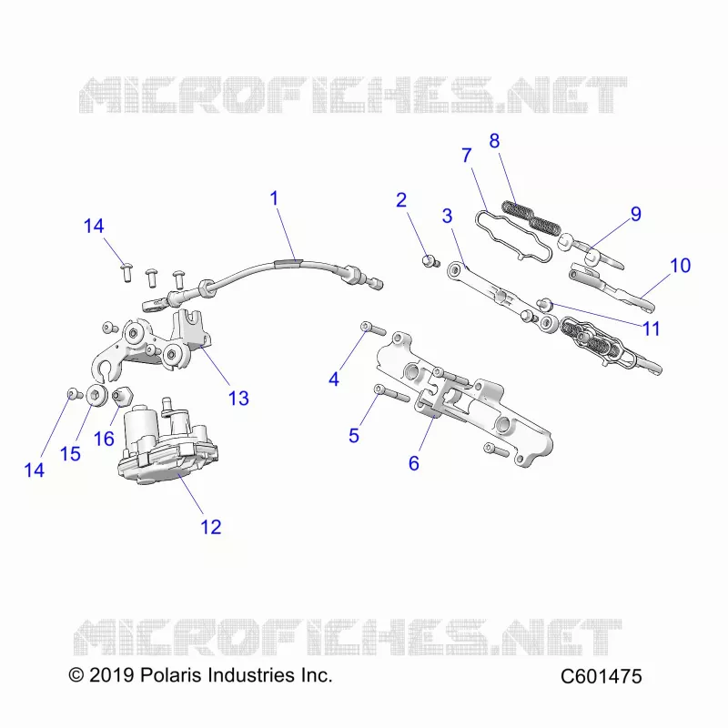 ENGINE, VALVOLA SCARICO ASM. AND ACTUATOR