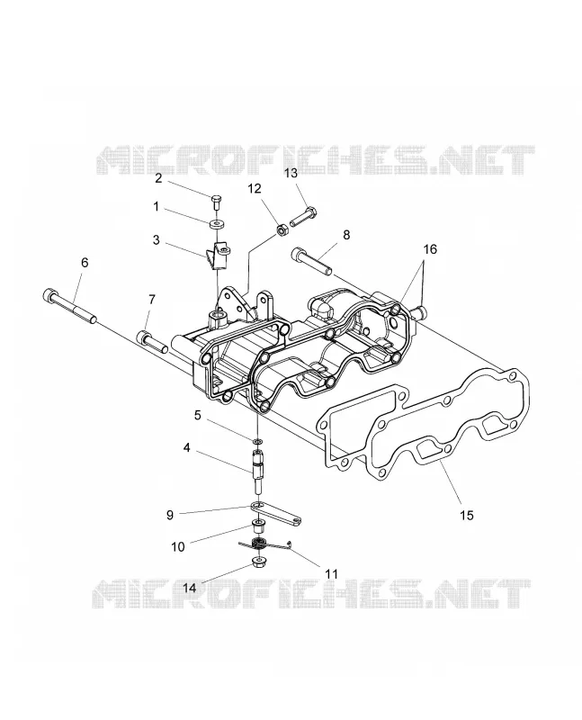 MOTORE, INLET MANIFOLD AND THROTTLE CONTROL