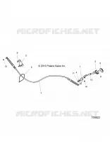 DRIVE TRAIN, SELETTORE DI MARCIA