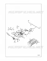 ELETTRICO, HARNESS