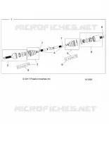 DRIVE TRAIN, ANTERIORE ALBERO
