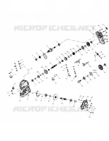 PRINCIPALE SCATOLA INGRANAGGI