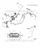 ELETTRICO, HARNESSES