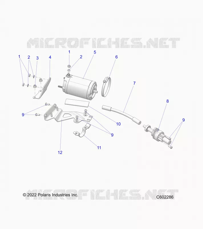 ANTIPASTO MOTOR