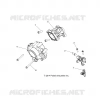 CORPO FARFALLATO AND FUEL RAIL