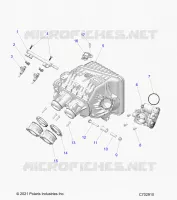 ENGINE, INTAKE INTAKE MANIFOLD, CORPO FARFALLATO, FUEL RAIL- Z24NME99A2/B2 (C702910)