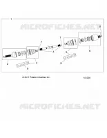 DRIVE TRAIN, ANTERIORE ALBERO
