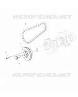 ENGINE, DRIVE PULEGGIA AND DRIVE BELT