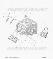 ENGINE, INTAKE INTAKE MANIFOLD, CORPO FARFALLATO, FUEL RAIL- Z24NME99RM/SM (C702910)