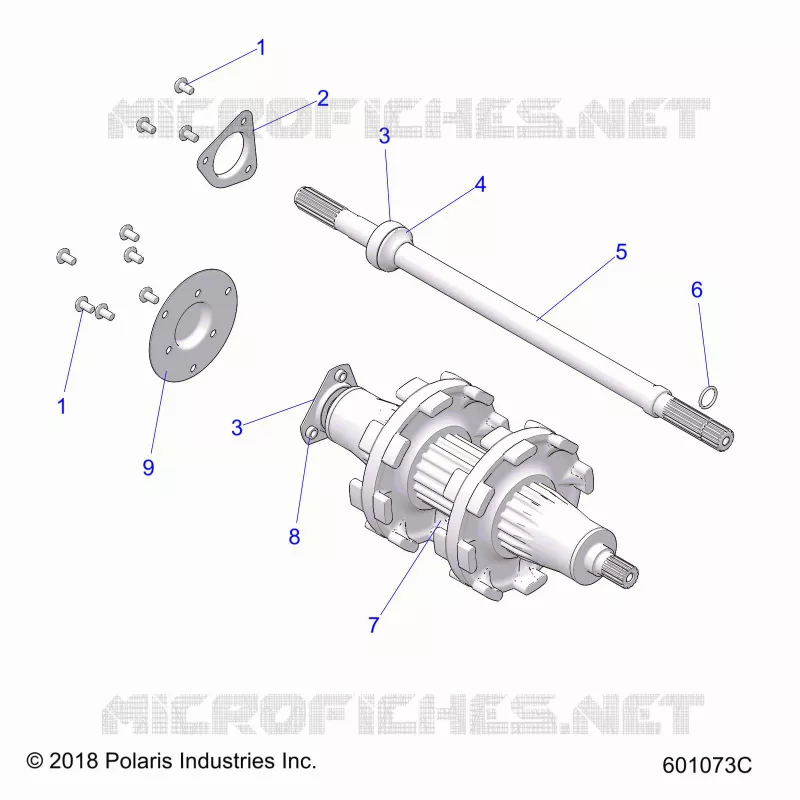 DRIVE TRAIN, JACKSHAFT AND ALBERO DI TRASMISSIONE