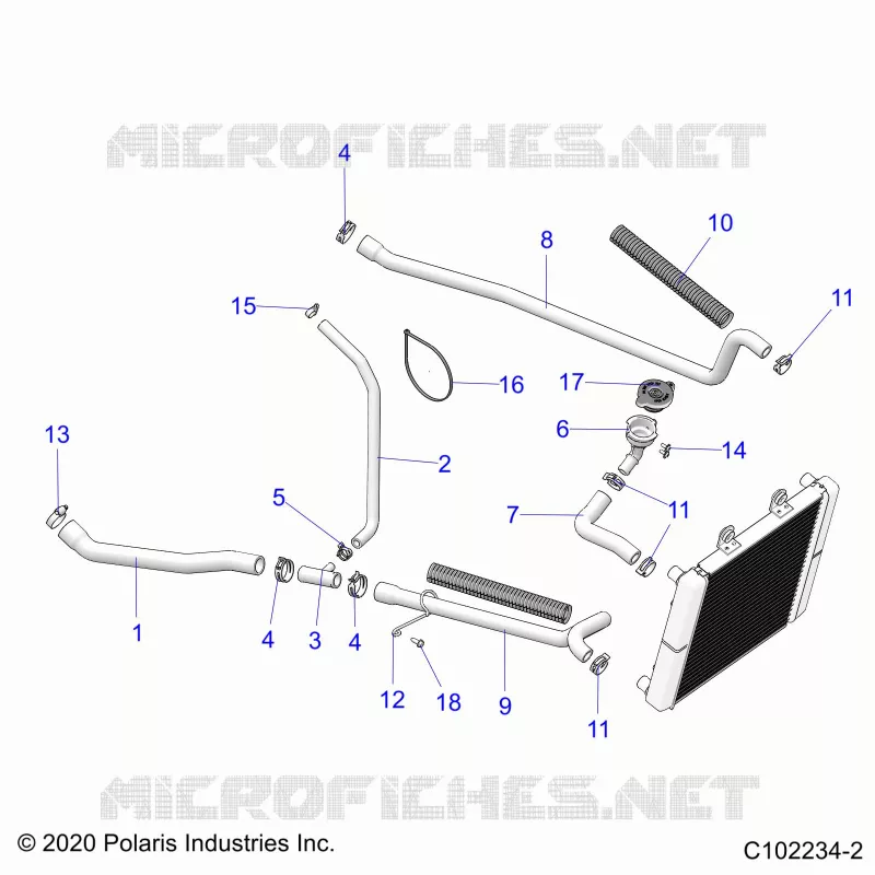 ENGINE, SISTEMA DI RAFFREDDAMENTO, HOSES