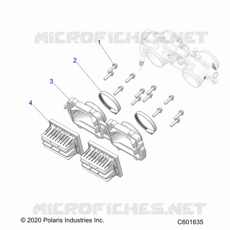 ENGINE, REED VALVE AND CORPO FARFALLATO ADAPTOR