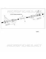 DRIVE TRAIN, POSTERIORE ALBERO