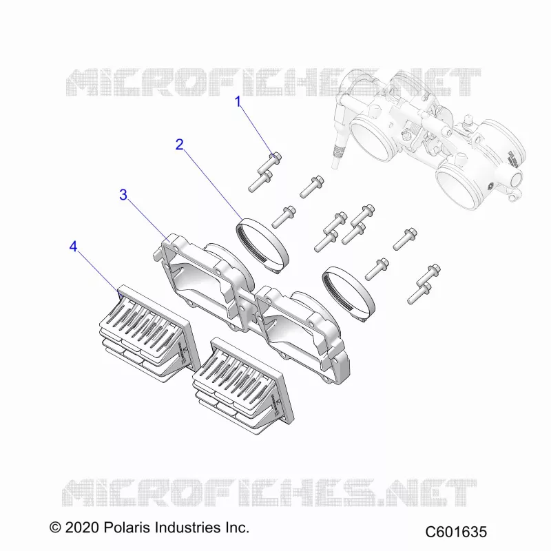 ENGINE, REED VALVE AND CORPO FARFALLATO ADAPTOR -S24TLP8RS (C601635)