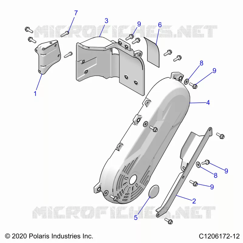 MOTORE, SHIELDS